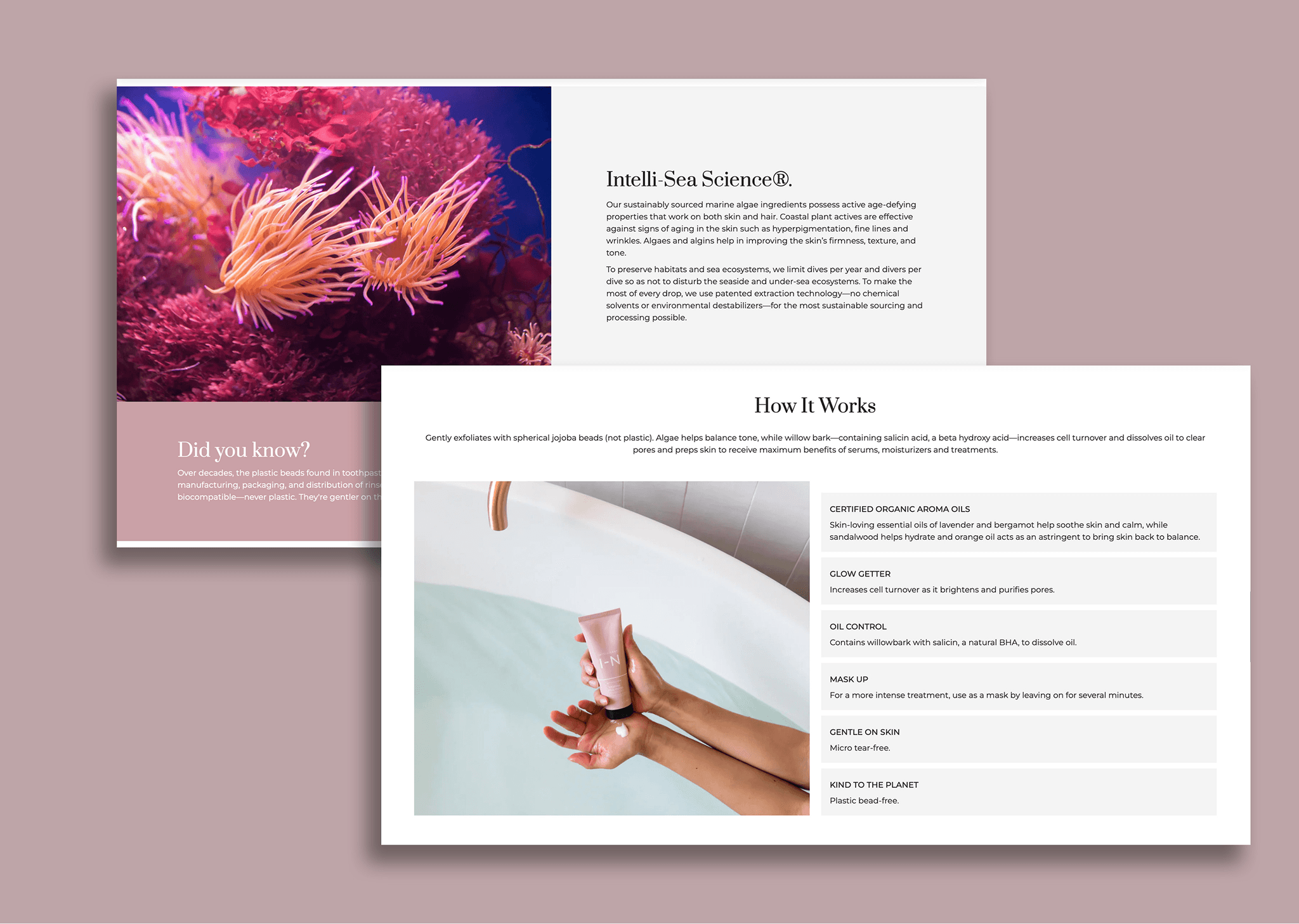 New Shopify Theme Implementation — gallery 4