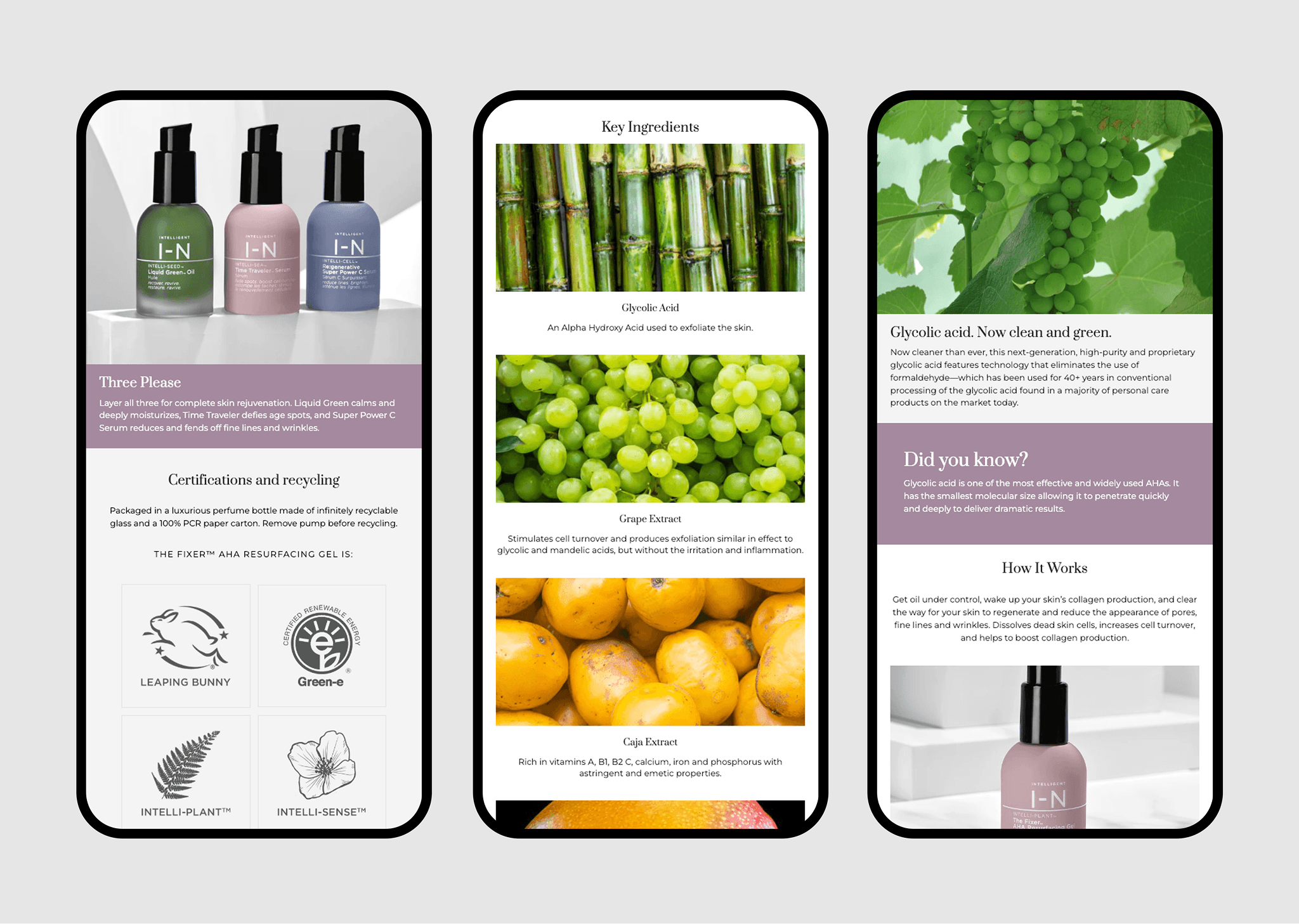New Shopify Theme Implementation — gallery 5
