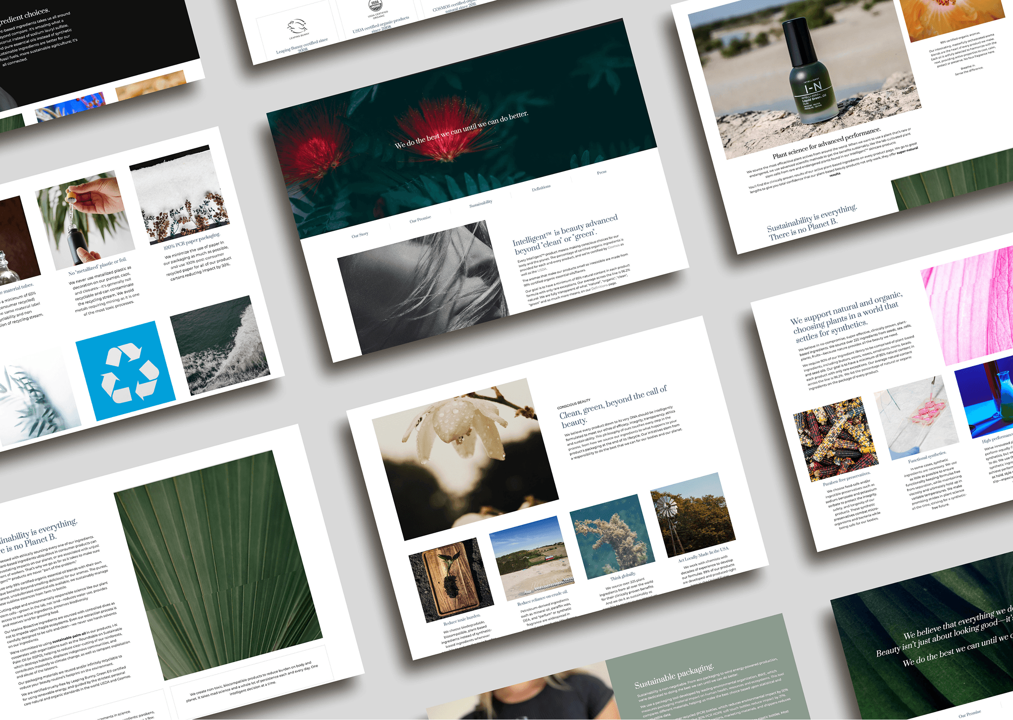 New Shopify Theme Implementation — gallery 6